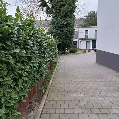 Big Comfort Incl Carcharger